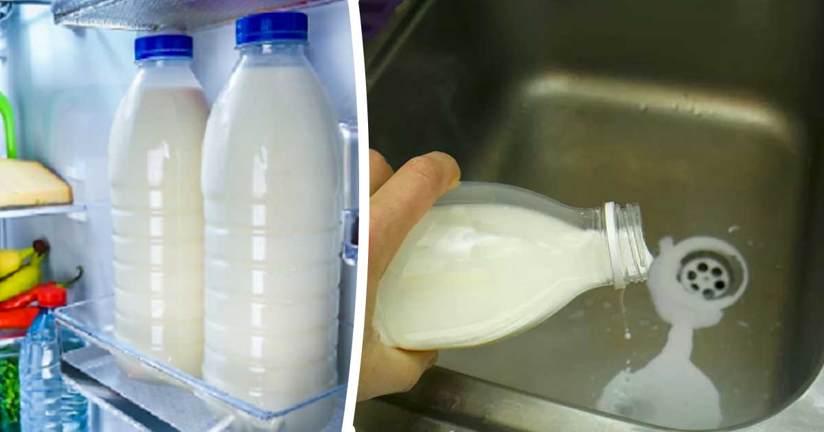 Latte nel frigo