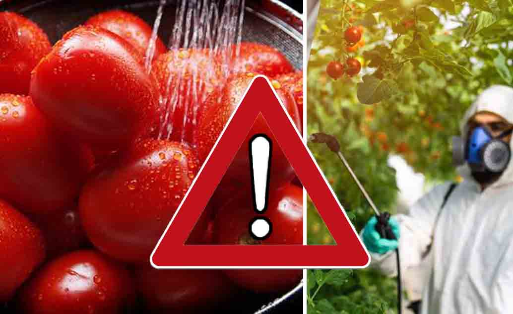 Pomodori pieni di pesticidi: l'aceto e il bicarbonato non basta! E' così che li elimini davvero