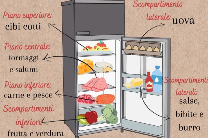 Collocare gli alimenti nel frigo