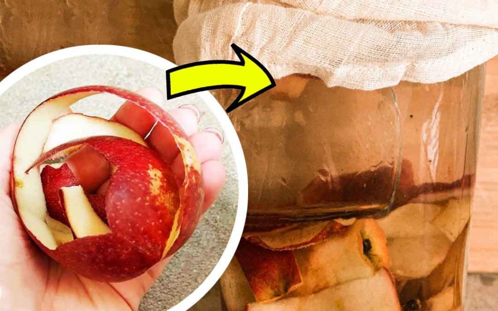 Bucce di mela, NON buttarle: vai a metterle in un barattolo e aggiungi l’acqua | Risparmi una montagna di soldi