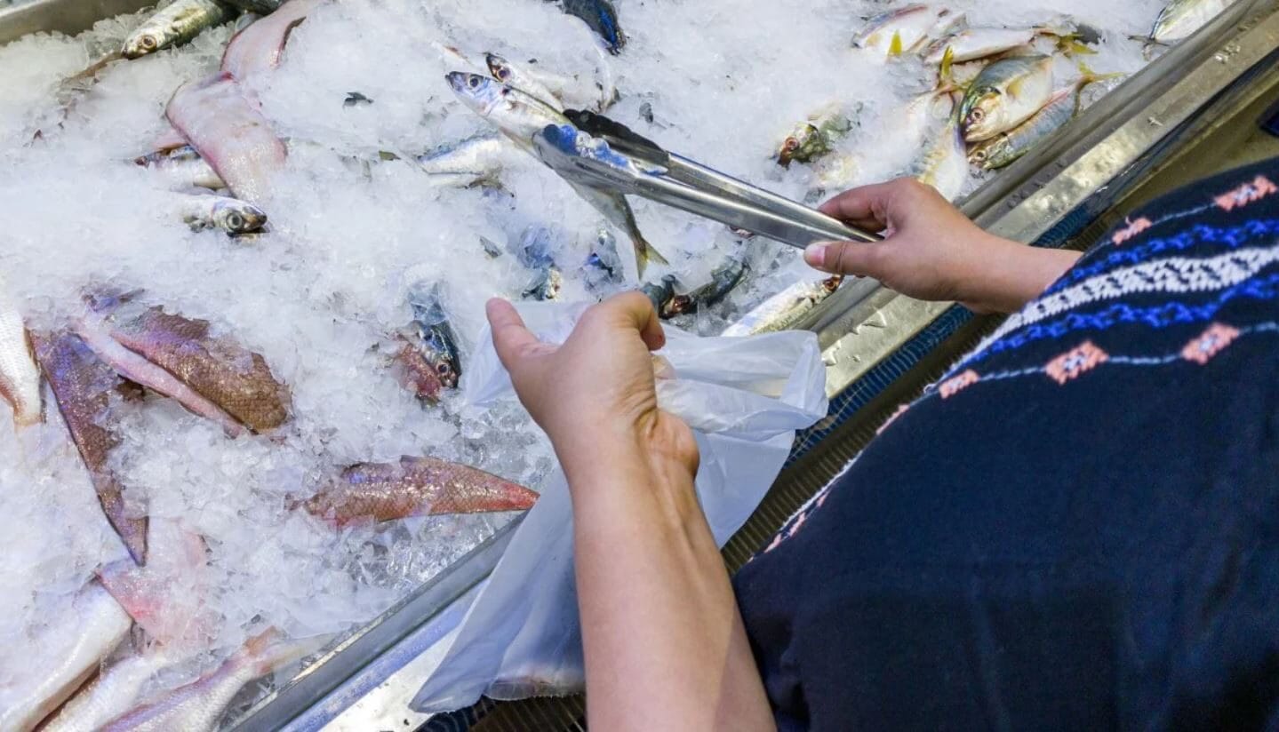 Pesce fresco a rischio