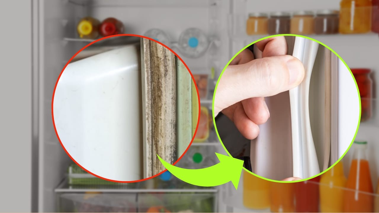 Come eliminare la muffa dal frigorifero
