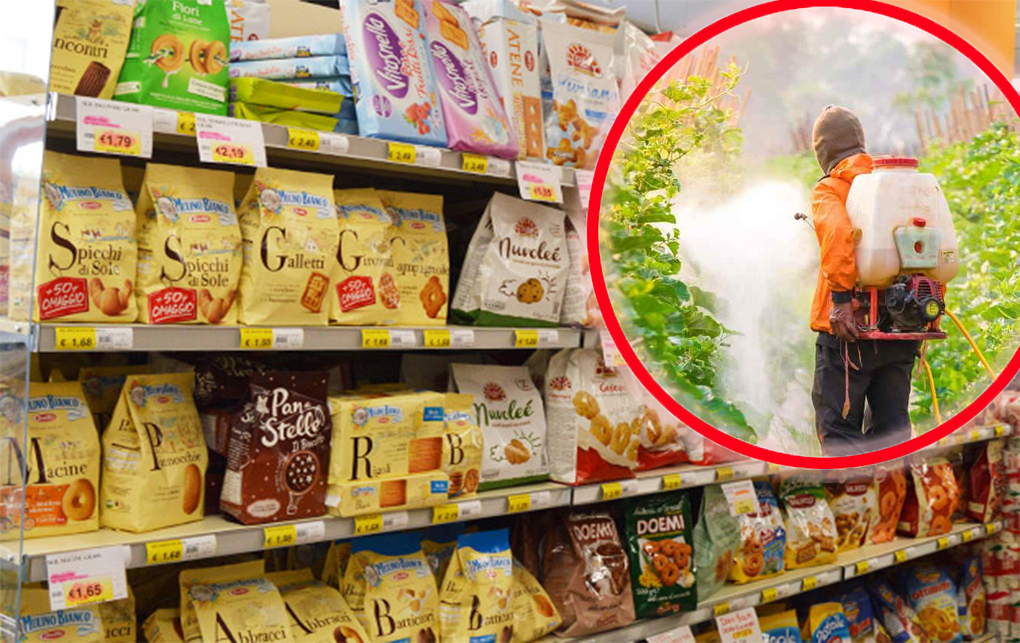 Biscotti, questa è la marca che contiene più pesticidi | La trovate in questo noto supermercato!