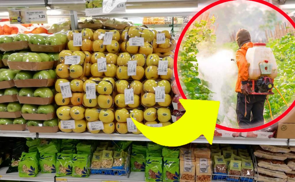 Mele, piene di pesticidi: fai attenzione | Se trovi queste al supermercato non comprarle, il test del Salvagente!