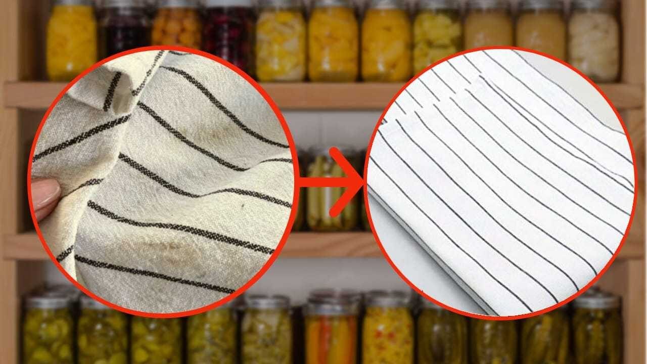 Strofinacci da cucina