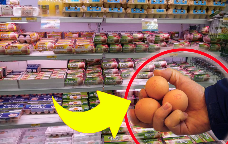 Uova, non tutte sono freschissime: queste sono le marche migliori da acquistare al supermercato | I risultati del test!