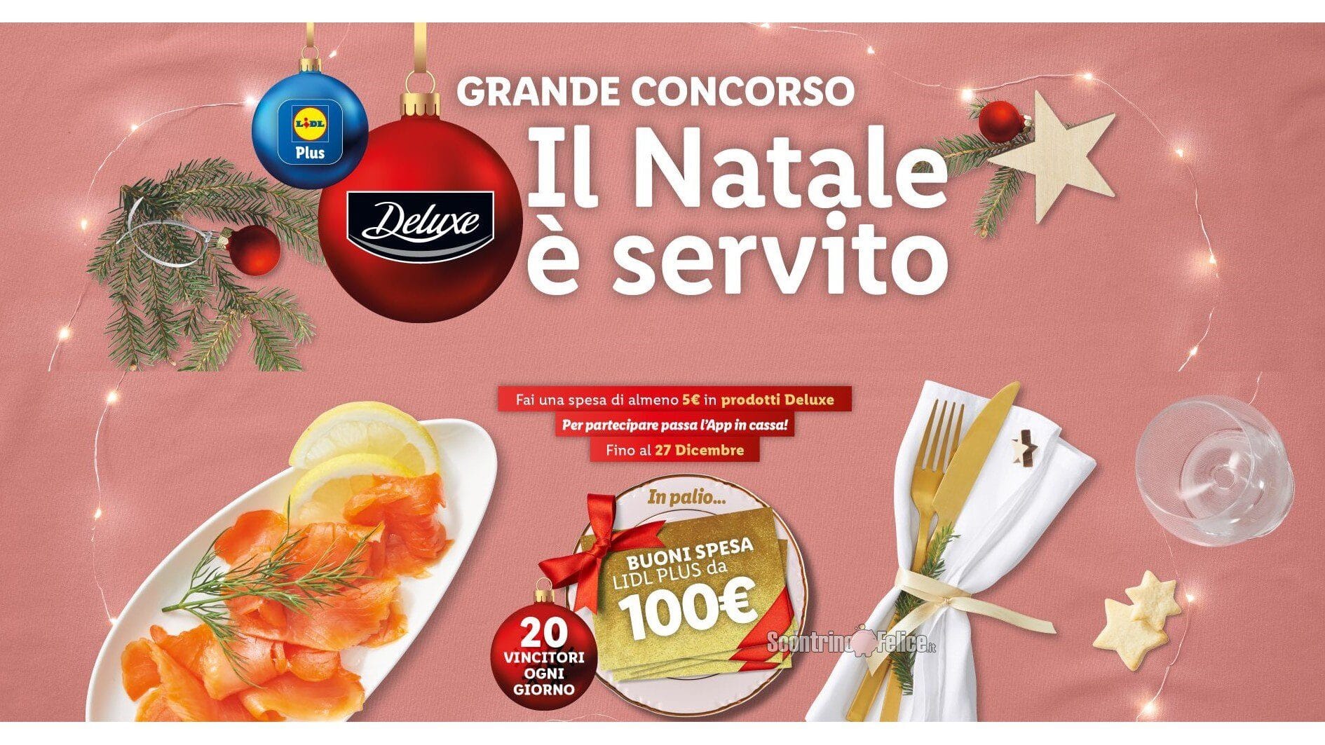 Concorso Deluxe Lidl