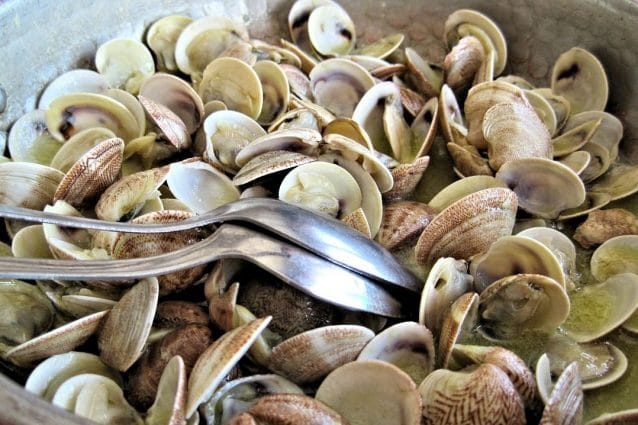 steamed-clams-603110_1280-638x425-1-8268677