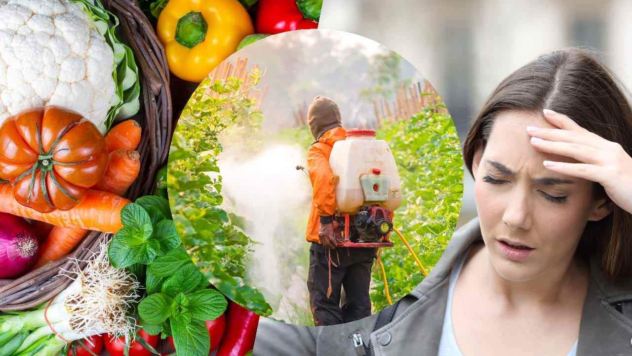 Frutta e verdura più contaminata da pesticidi