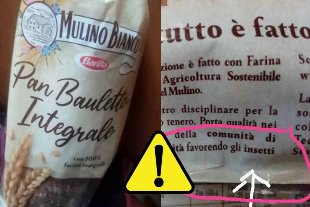 Pan Bauletto del Mulino Bianco, contiene veramente insetti? Non farti ingannare: l’etichetta dice tutt’altro!