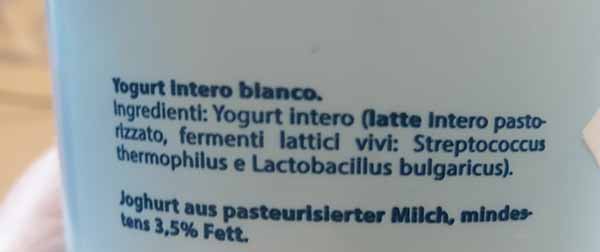 Yogurt bianco intero