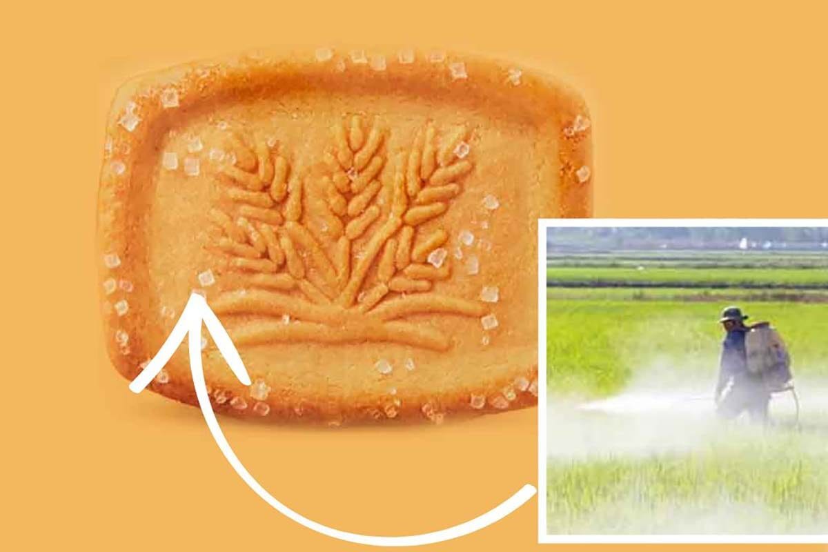 Pesticidi nei biscotti