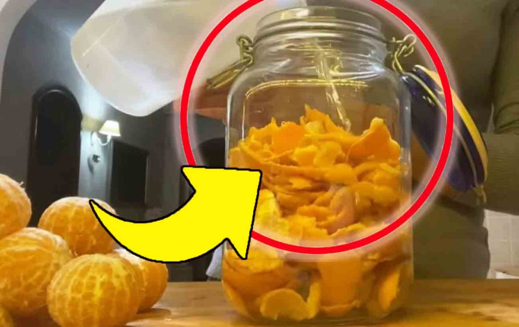 Bucce di mandarino, non ti azzardare a buttarle via: “valgono oro” | Mettile in un barattolo con alcol e aceto!