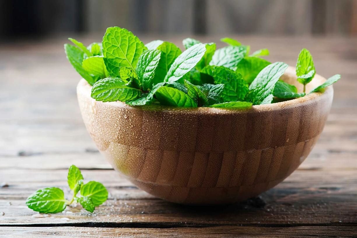 Menta