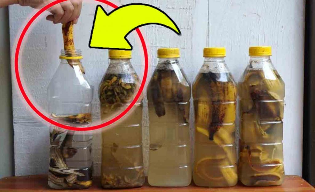 Bucce di banana, non buttarle mai via: mettile in una bottiglia di acqua e usale sempre così!