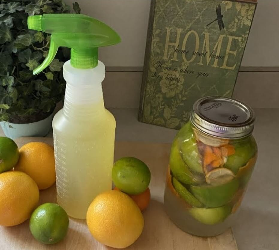 Detergente limone, arancia e aceto