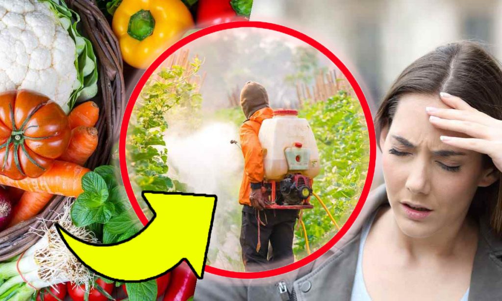 Frutta e verdura, questi sono quelli più contaminati da pesticidi: li porti sempre a tavola | La classifica!