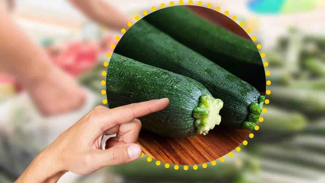 Zucchine velenose