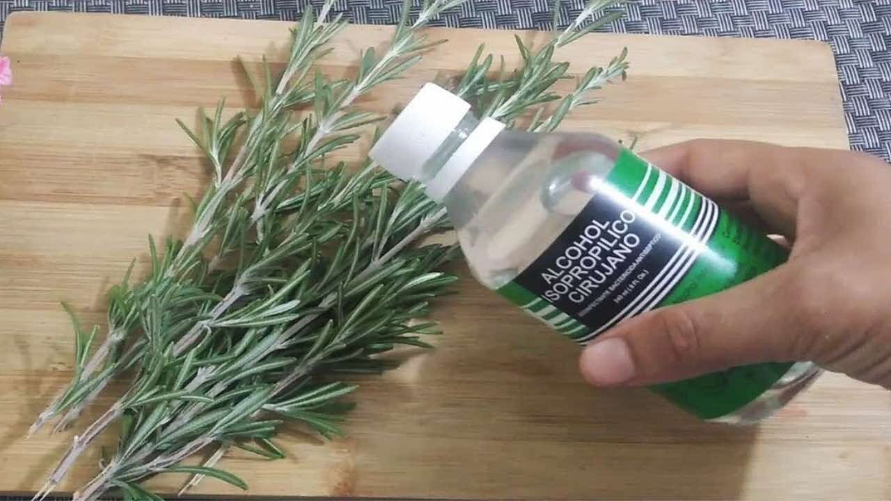 Alcol al rosmarino