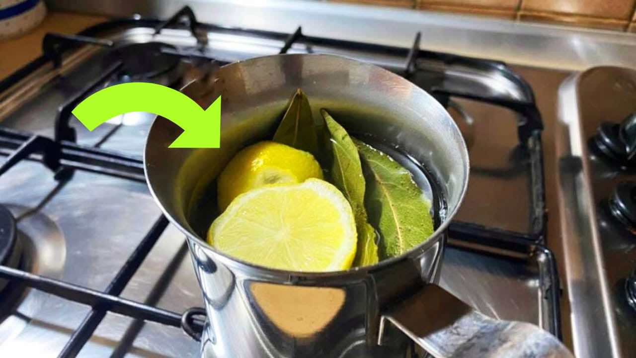 Limone e alloro