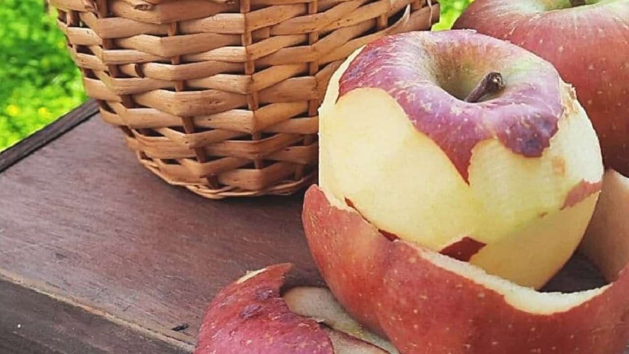 Bucce di mela