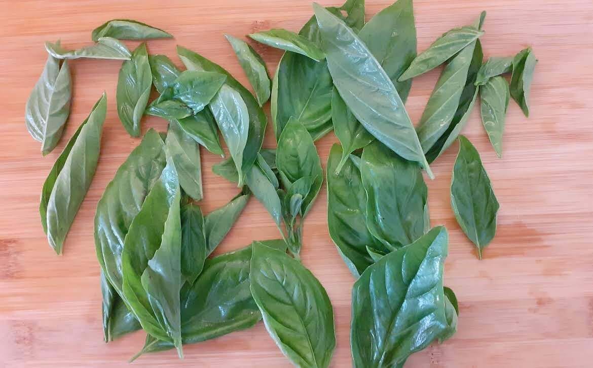 Congelare le foglie di basilico