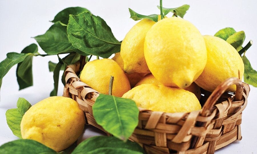 Limoni