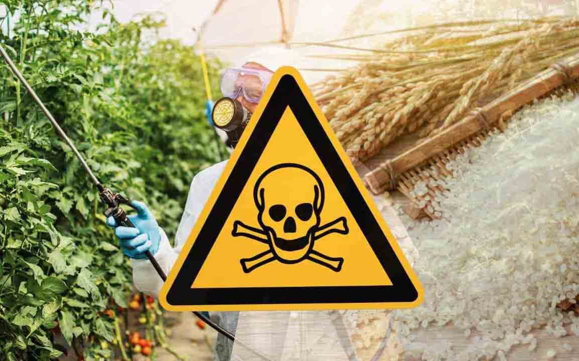 Pesticidi nel riso
