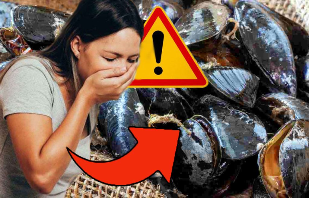 Non ti azzardare a mangiare queste cozze, sono contaminate dal “NOROVIRUS” | Attenzione, rischi grosso!