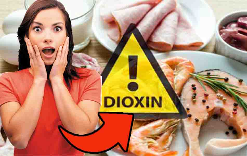 E’ allerta in questa regione italiana: “carne, uova e pesce contengono diossina” | Attenzione!