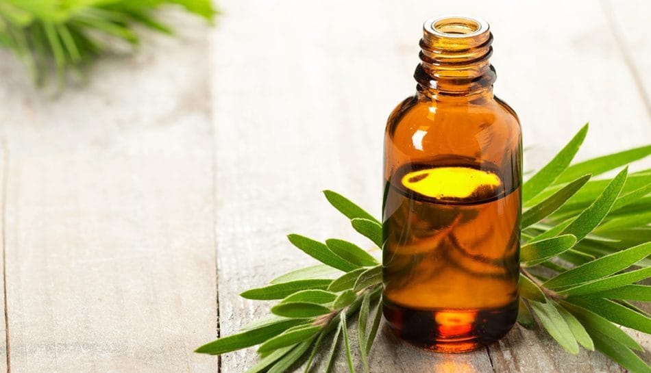 Spugnetta per piatti, attenzione: è più sporca del WC | Porti milioni di batteri a tavola: soltanto così li fai fuori tutti!