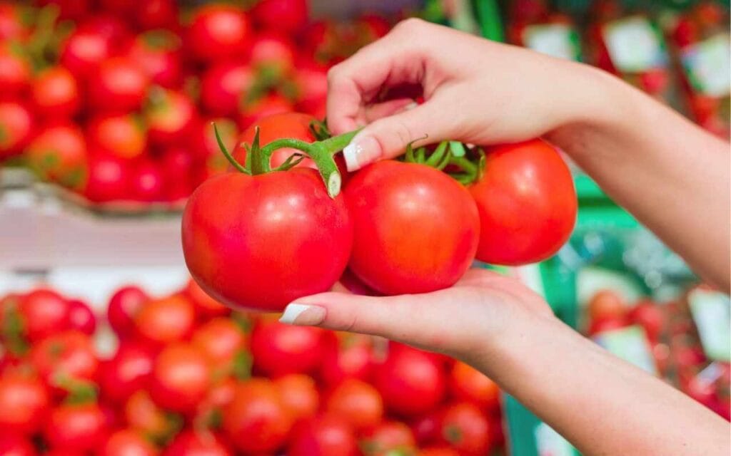 Pomodori, non tutti lo sanno ma non mangiare questi per nessun motivo | Sono tossici e rischi grosso!