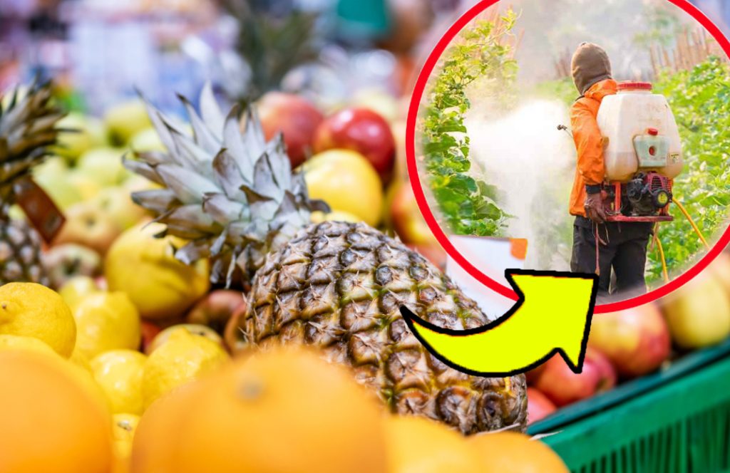 Ananas, trovati pesticidi (anche vietati): quelli più contaminati li trovi in questi 3 supermercati | Il nuovo test italiano!