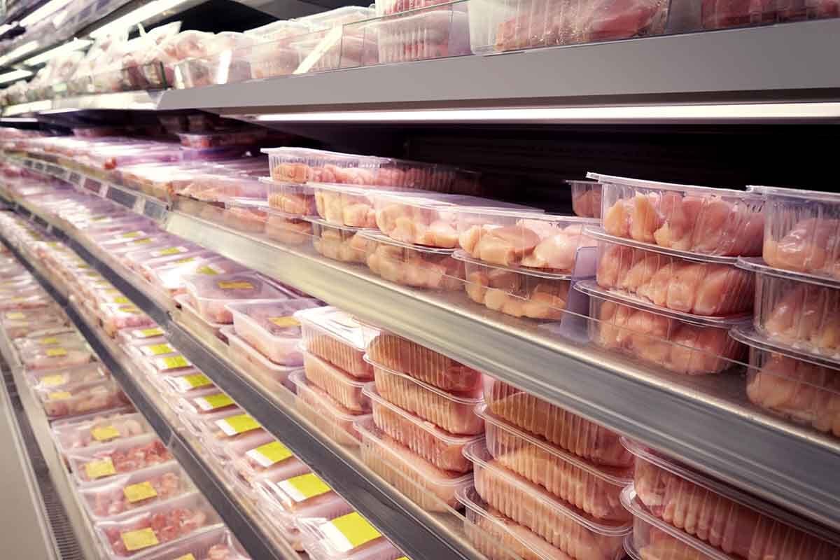 Salmonella nel pollo