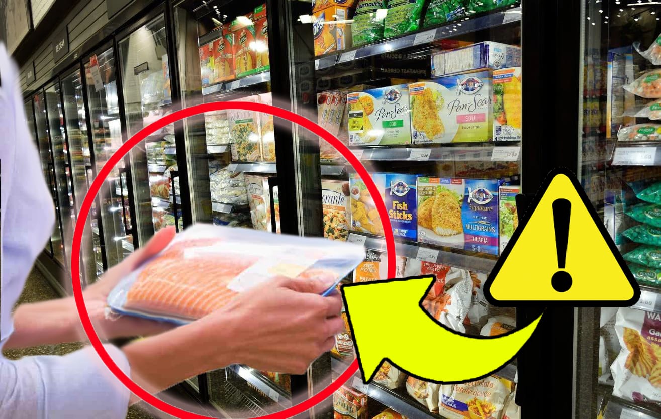 Salmone, è allerta: per anni hanno venduto pesce non commestibile ed è stato scoperto solo ora!
