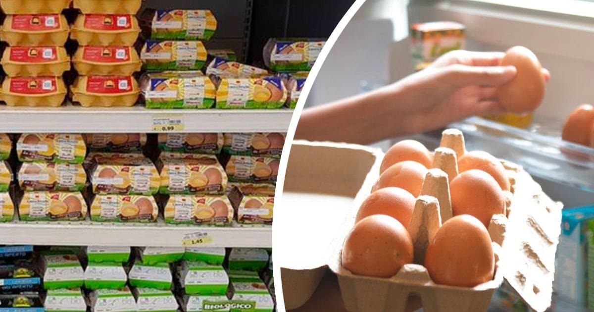 uova-fuori-frigo-supermercato-casa-1-2803267