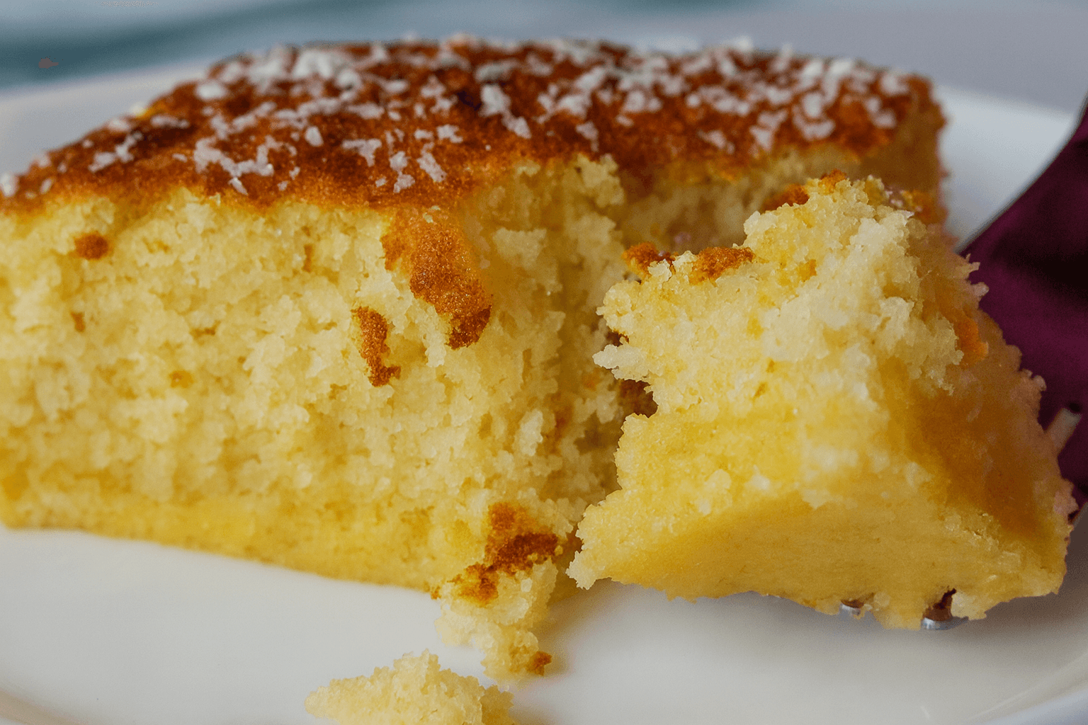 Torta al cocco e arancia