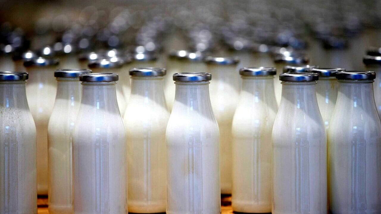 Latte maxi sequestro