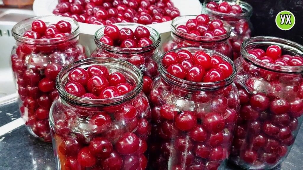 Ciliegie per tutto l’inverno, mia nonna mi ha insegnato a conservale così | E’ semplicissimo!