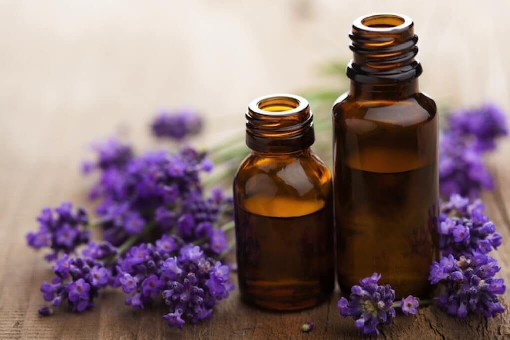 borsite lavanda