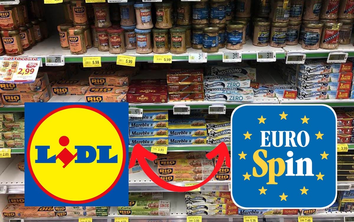 Eurospin o Lidl, il tonno in scatola migliore lo trivo in questo discount secondo Altroconsumo!