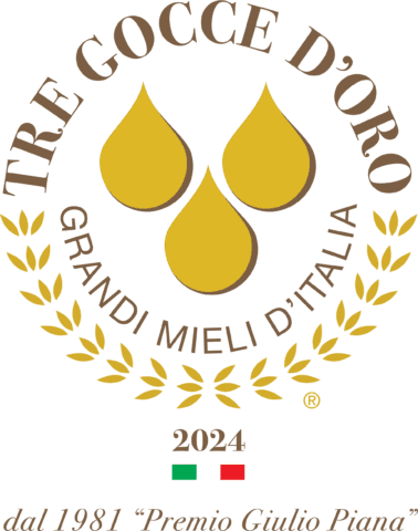 Concorso 2024 miele