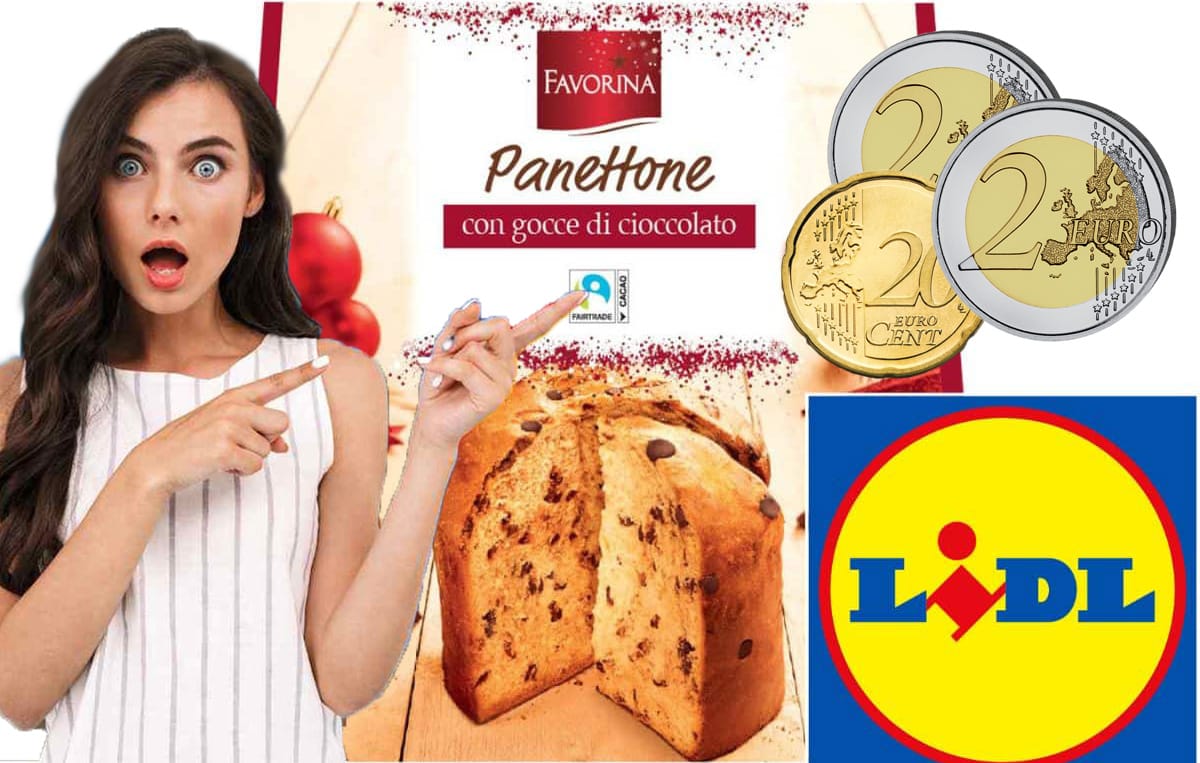 Panettone Lidl 2024, non immagini neanche chi lo produce e costa appena 4,29 euro!