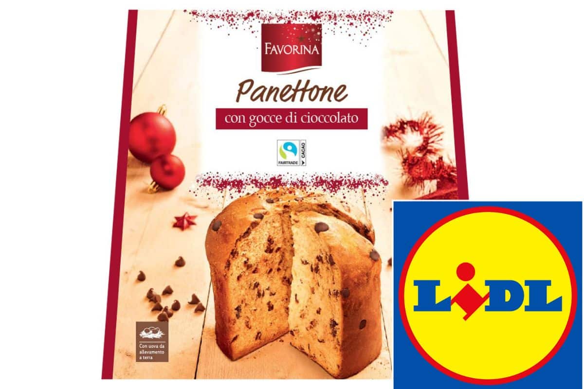 Panettone favorina lidl