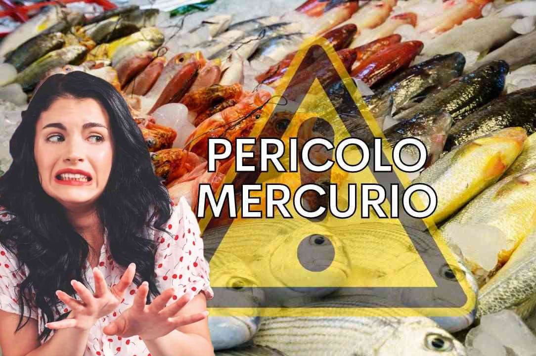 Allarme mercurio, questi sono i 4 pesci che ne contengono tanto: non ti conviene portarli in tavola!