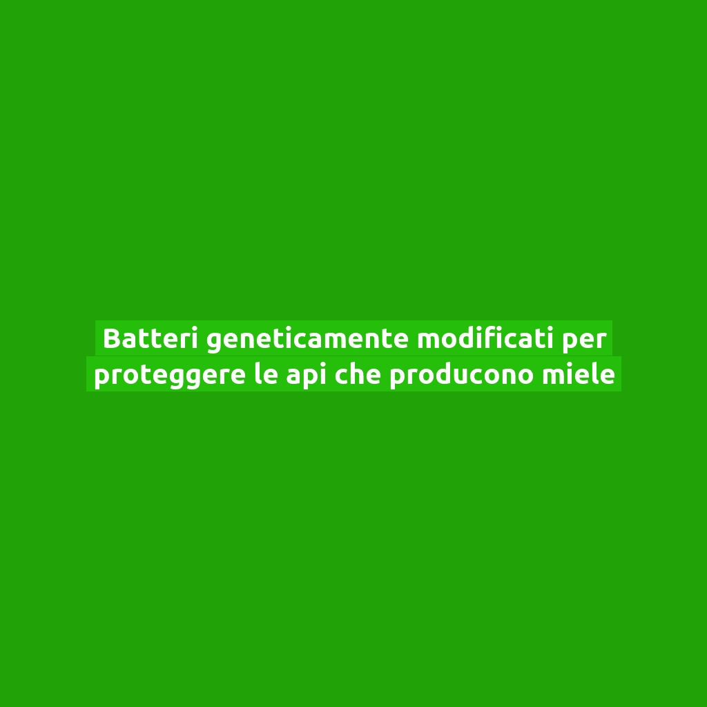 Batteri geneticamente modificati per proteggere le api che producono miele