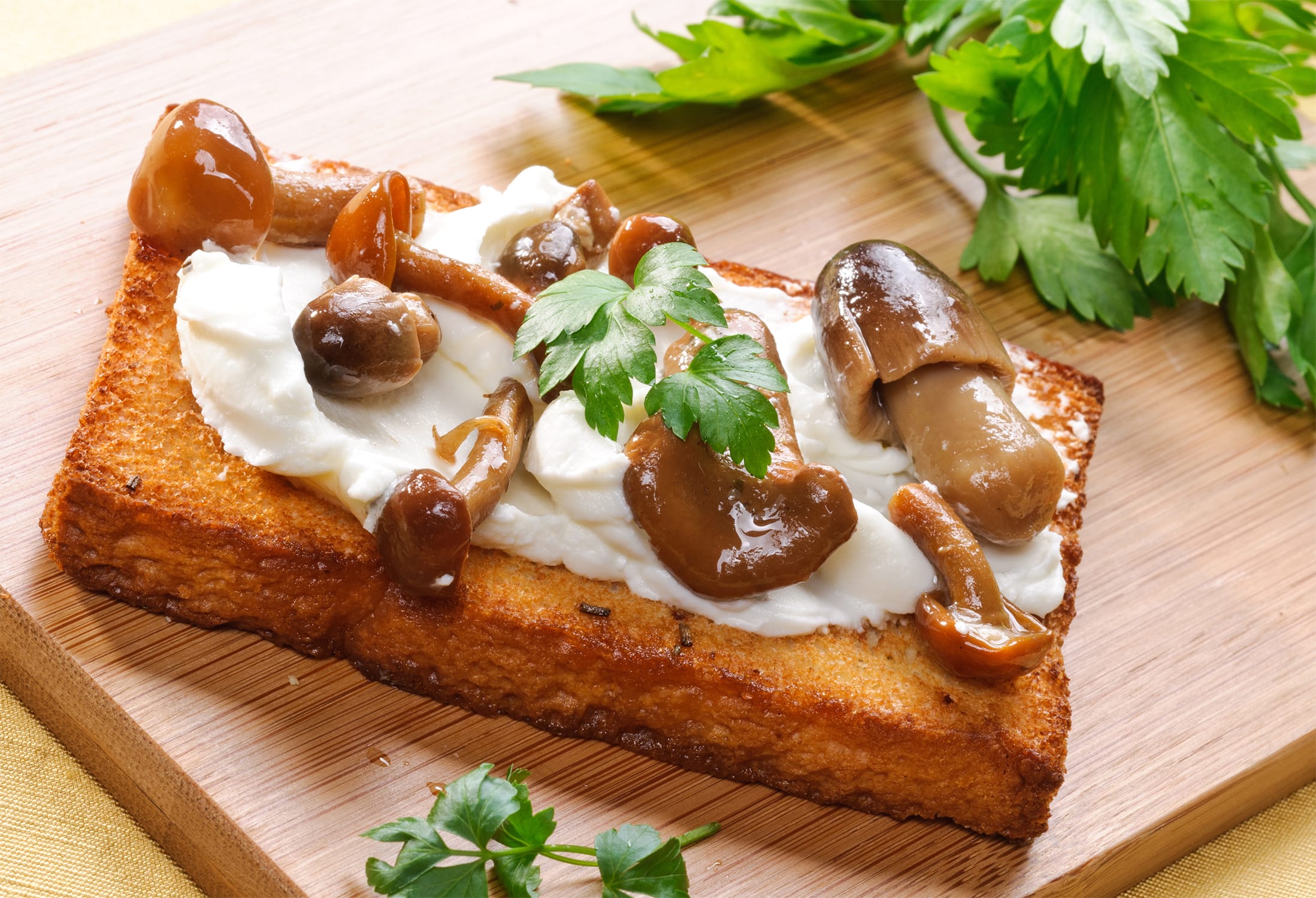 Bruschette ai funghi