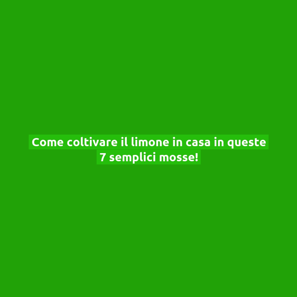 Come coltivare il limone in casa in queste 7 semplici mosse!