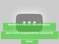 Mandorle e arancia, i biscotti natalizi senza farina né grassi da fare nei giorni di festa!