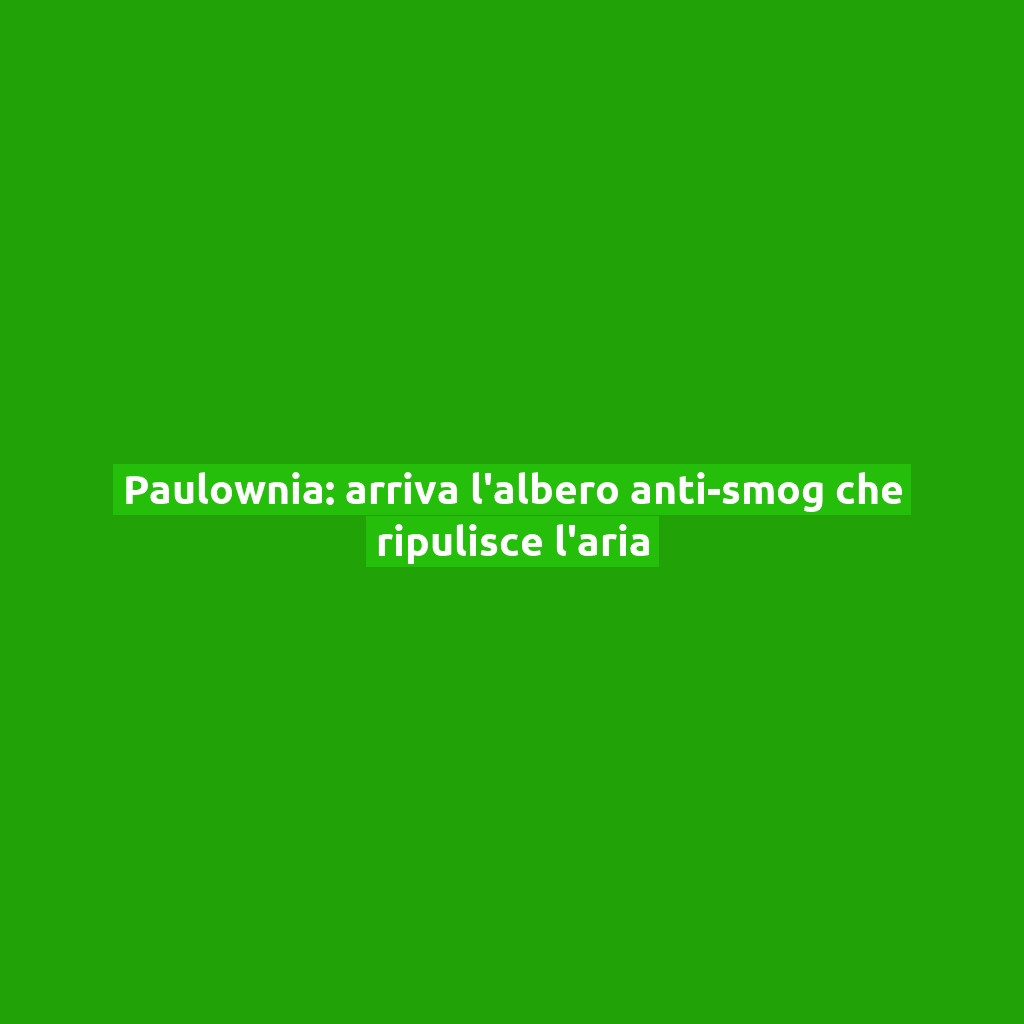 Paulownia: arriva l’albero anti-smog che ripulisce l’aria